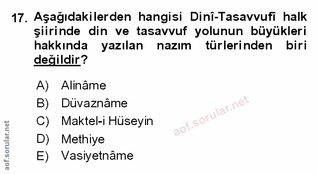 Soru 17