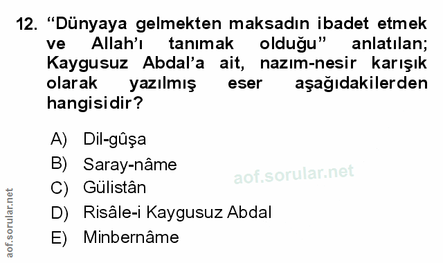Soru 12