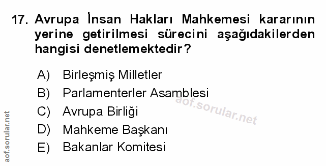 Soru 17
