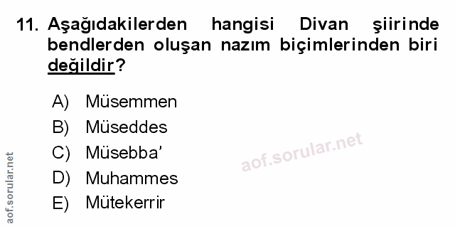 Soru 11