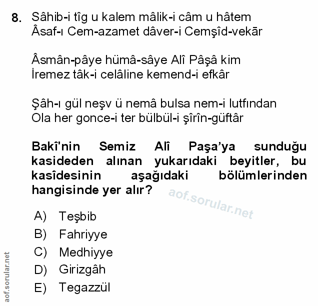 Soru 8