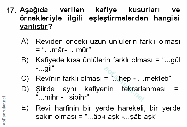 Soru 17