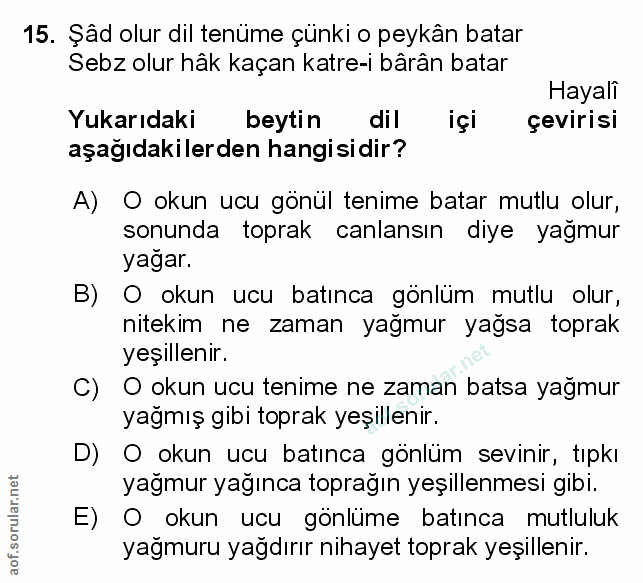 Soru 15