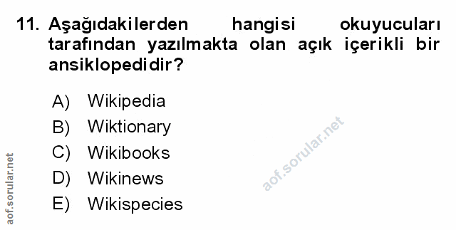 Soru 11