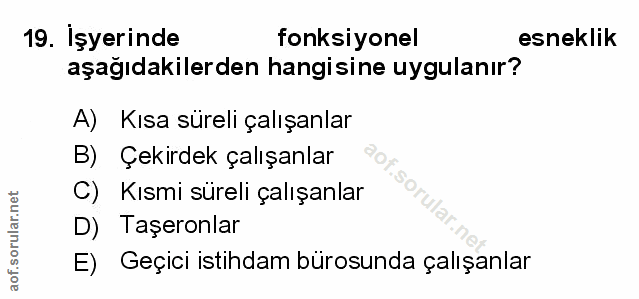 Soru 19