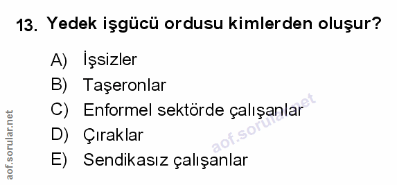 Soru 13