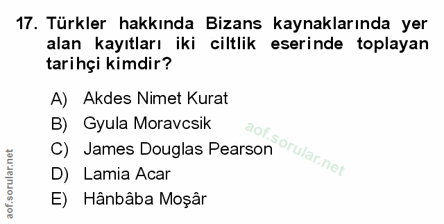 Soru 17