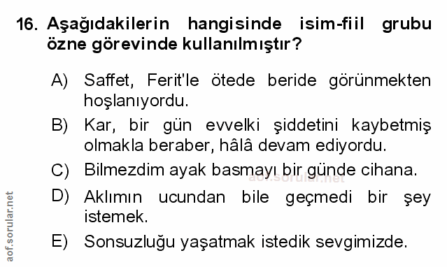 Soru 16