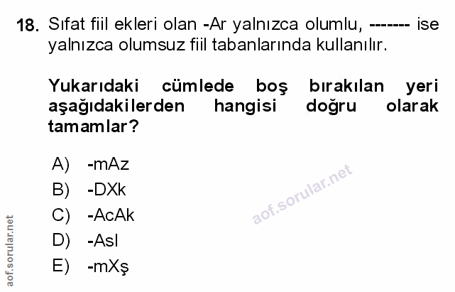 Soru 18