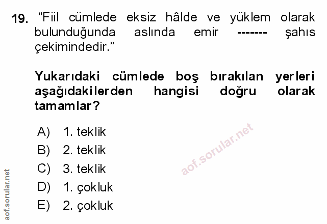 Soru 19