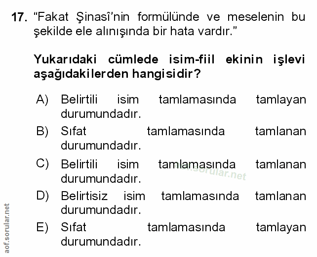 Soru 17