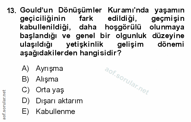 Soru 13