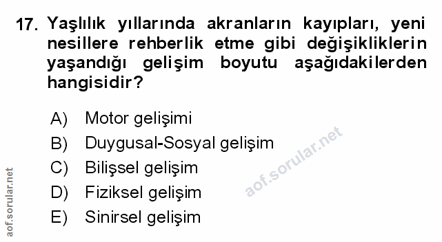 Soru 17