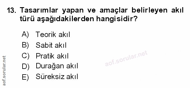 Soru 13