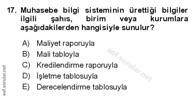 Soru 17