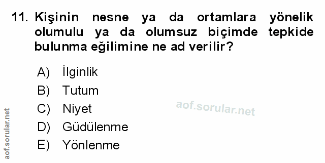 Soru 11