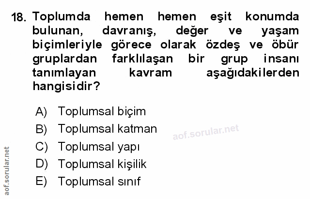 Soru 18