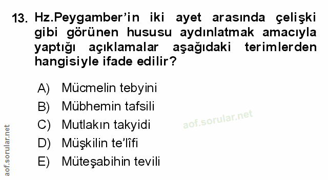 Soru 13