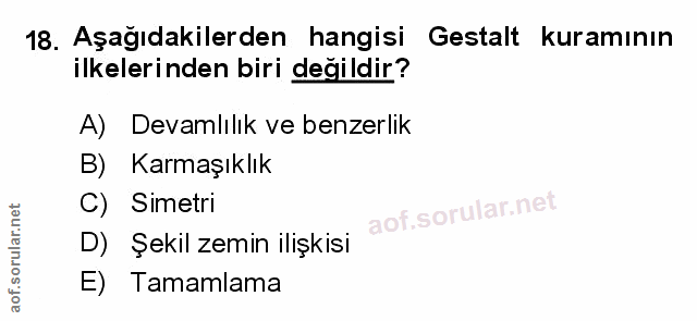 Soru 18