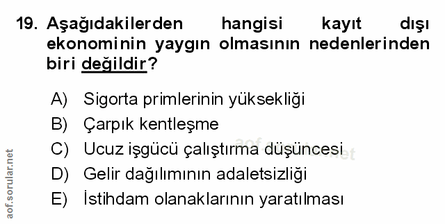 Soru 19
