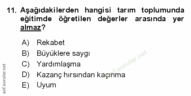 Soru 11
