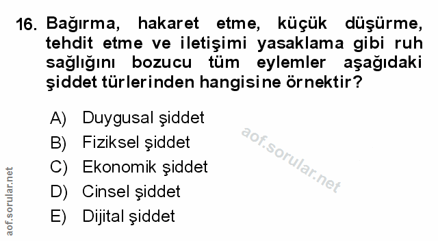 Soru 16