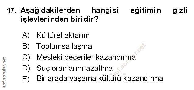 Soru 17