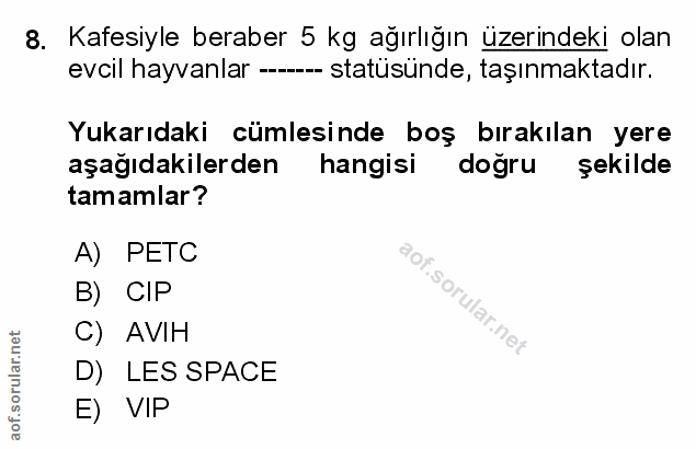 Soru 8