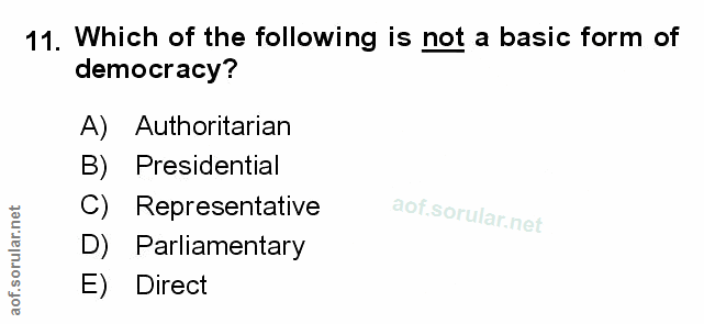 Soru 11