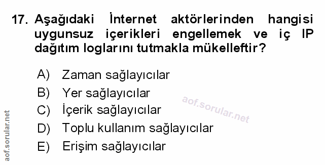 Soru 17