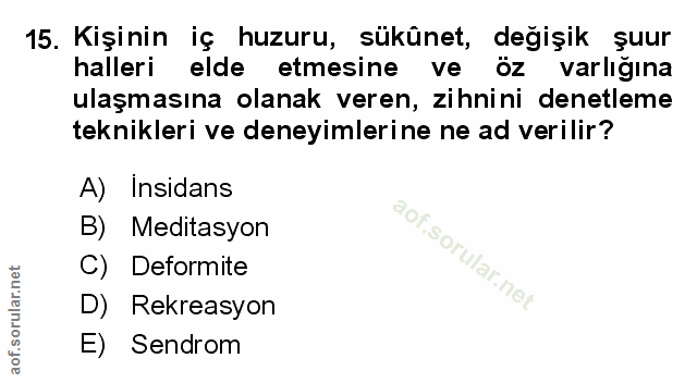 Soru 15