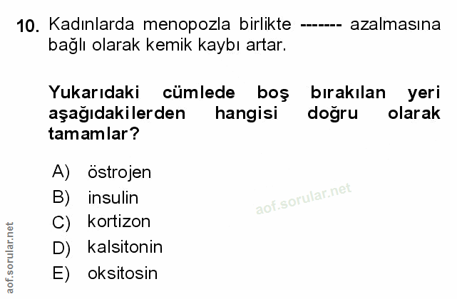Soru 10