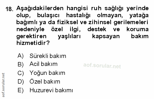 Soru 18