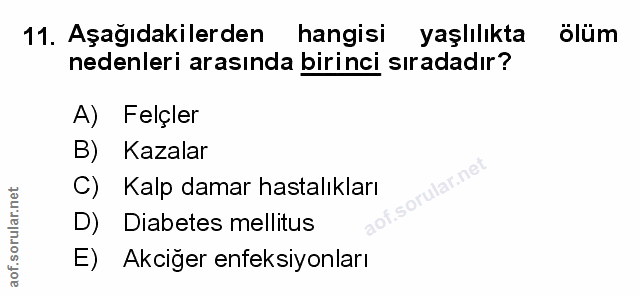 Soru 11