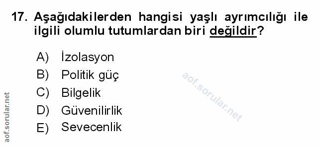 Soru 17