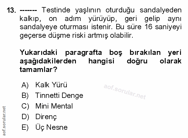 Soru 13