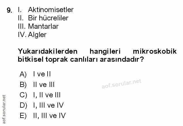 Soru 9