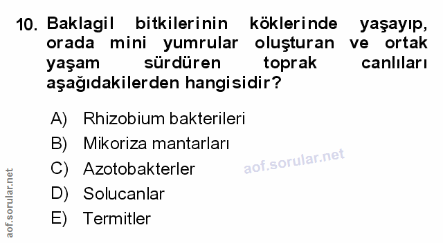Soru 10