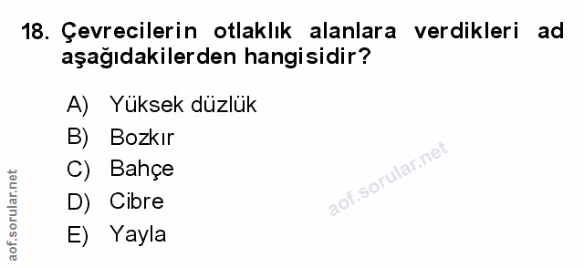 Soru 18