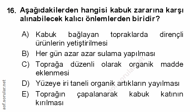 Soru 16