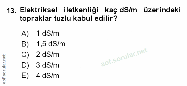 Soru 13