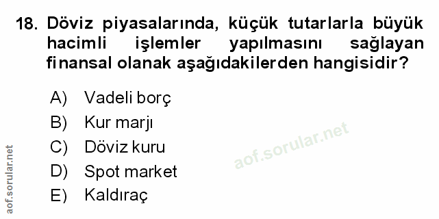 Soru 18