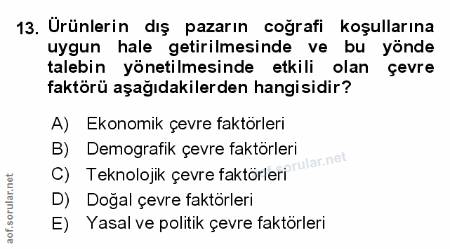 Soru 13