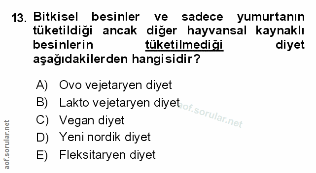 Soru 13