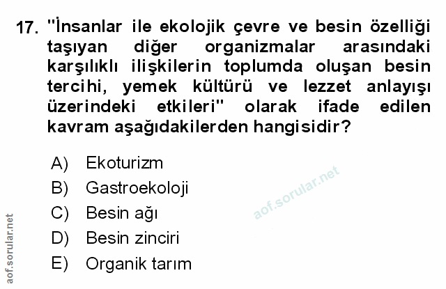 Soru 17