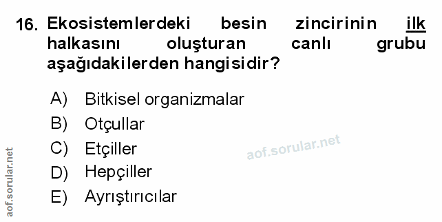Soru 16