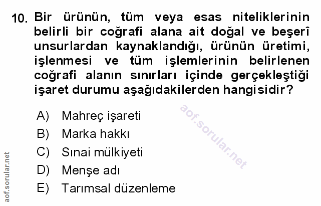 Soru 10
