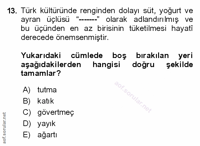 Soru 13