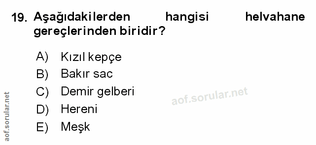 Soru 19