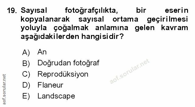 Soru 19